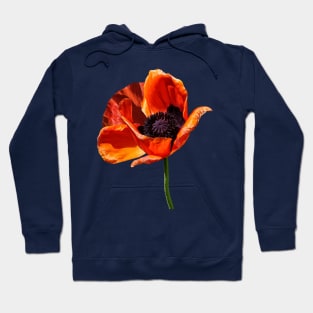 Red Poppy in Sunshine Hoodie